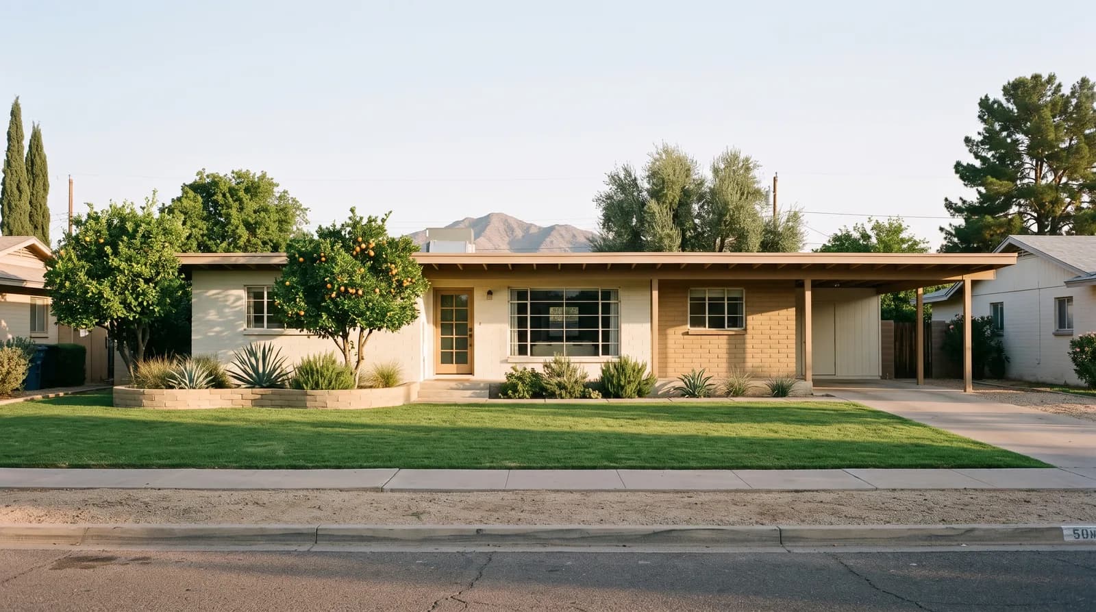 A single-story 1950s Arizona ranch house with a carport, citrus trees and an irrigated lawn